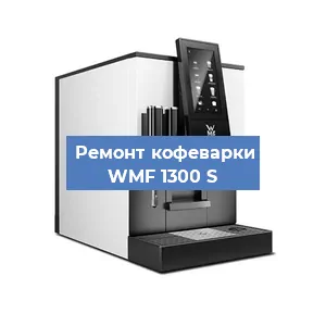 Замена прокладок на кофемашине WMF 1300 S в Волгограде
